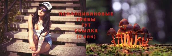 a pvp Белокуриха