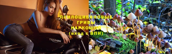 соль ск Беломорск