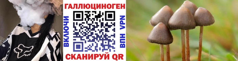 Галлюциногенные грибы Psilocybine cubensis  Верхняя Пышма 