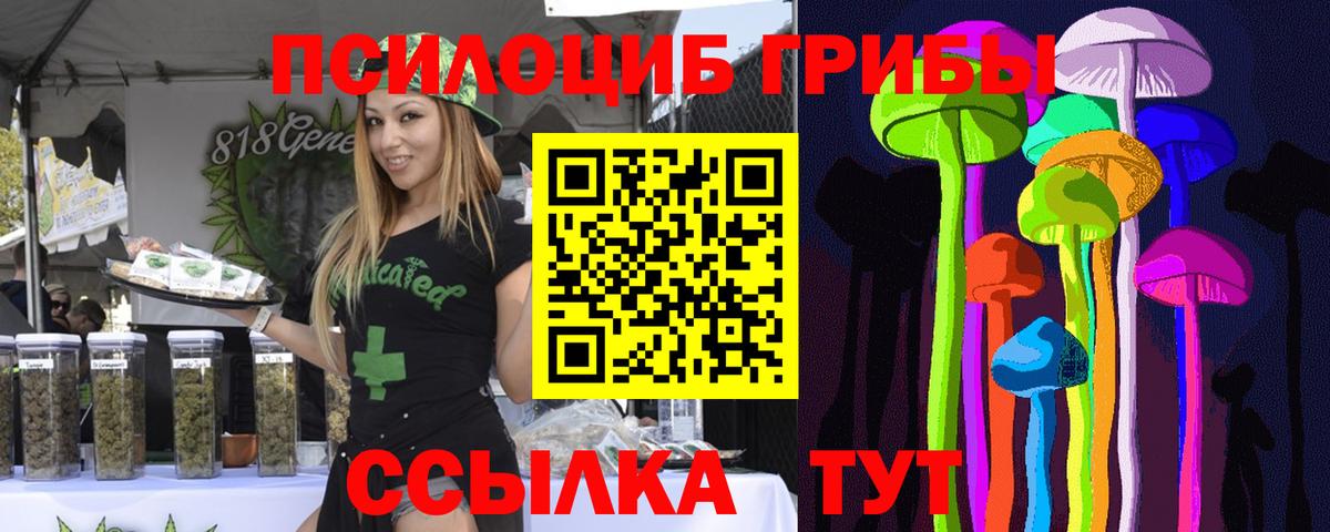 Псилоцибиновые грибы Psilocybe  Вход с VPN  Верхняя Пышма  Галлюциногенные грибы мухоморы 